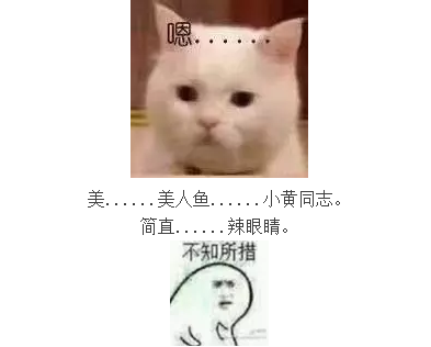 QQ截圖20170801095219.png